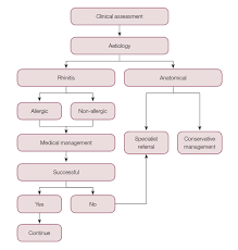 I am having nasal vestibulitis. Racgp Clinical Assessment Diagnosis And Management Of Nasal Obstruction