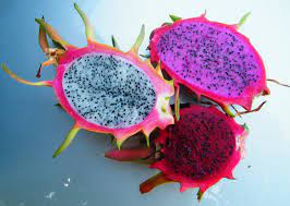 In this video, you will be surprised to know how dragon fruit can boost your metabolism and speed up weight loss! Dragon Fruit A Variety Of Fruits