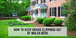 Mulch is an important part of growing the best organic cannabis possible. How To Keep Grass Clippings Out Of Mulch Beds 8 Tips To Try