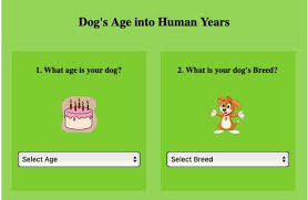 Dog Years Calculator Convert Dog Age To Human Years 2019