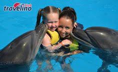I delfini sono animali dolcissimi. Nuotare Con I Delfini A Sharm El Sheik
