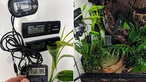 Best Thermometer Hygrometer For Terrariums Frogpets