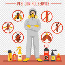Pest control house hygiene disinfection service isometric website banner with professional team exterminating insects background. Insect Cartoon Drawing Cool Cartoon Pest Fly Cartoon Character Computer Wallpaper Pest Control Png Pngwing