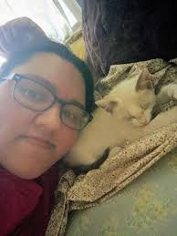 Actor injured filming spider-man stunt