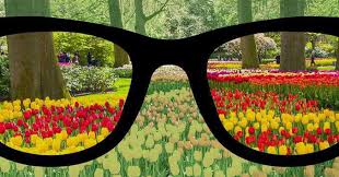 Lenses with frames of lower quality range from $50 to $115, while those with frame of average quality usually cost. Colorblind Check Out The High Tech Glasses That Help You See Colors Benjamin Optical Eye Center