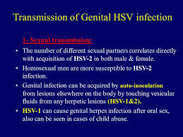 Educational information about hsv1 from symptoms to testing, and personal perspectives about living with herpes, dating, and dealing with stigma. Genital Herpes Genital Warts By Dr Mona Badr Dr Abdulkarim Alhetheel Assistant Professor In Microbiology Unit College Of Medicine Kkuh Ppt Download