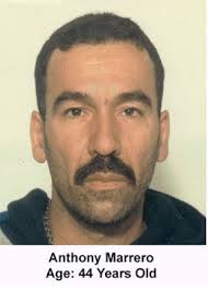 Barb's Book Reviews: Review of "Last Call: A True Story of Love, Lust, and  Murder in Queer New York" by Elon Green