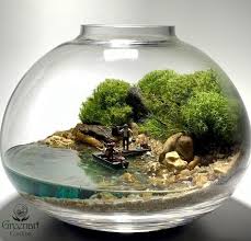 Mahmut Kirnik 3563 In 2020 Terrarium Decor Terrarium Scene Garden Terrarium