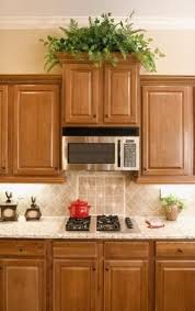 Kitchen Wall Plants Counter Tops 35 Ideas For 2019 Above Kitchen Cabinets Kitchen Wall Colors Honey Oak Cabinets
