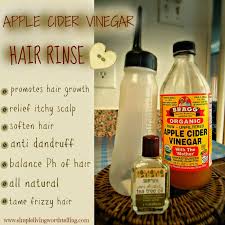 Tea tree oil is an essential oil derived from the leaves of the tea tree (melaleuca alternifolia), which is native to australia.like other essential oils, tea tree oil has been used medicinally. Diy Apple Cider Vinegar Rinse Apple Cider Vinegar Hair Rinse Apple Cider Vinegar For Hair Vinegar Hair Rinse