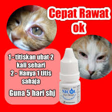 545 likes · 3 talking about this. Nicol 5ml Ubat Kesihatan Mata Kucing Anjing Cepat Sihat Mata Shopee Malaysia