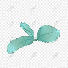 hand drawn cartoon small fresh illustration three mint leaves gr png image picture free download 401556997 lovepik com hand drawn cartoon small fresh