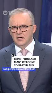 Damian Guerot Bollard