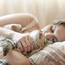 It's also possible that he feels safer sleeping next to you or that he is simply using you for your body heat. Why Do Cats Sleep On Me Reader S Digest
