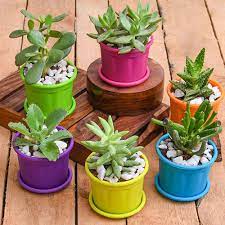 Wide range of plant pots on sale. 10 Best Online Places For Shopping Garden Accessories Lbb