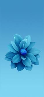 1001 Der Besten Ideen Fur Ein Cooles Iphone X Wallpaper Blumentapete Hintergrundbild Samsung Und Iphone Wallpaper Herbst
