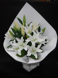 We did not find results for: Flower Bouquets Flower Wholesalers Auckland