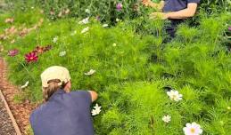 Workshop: Behind the scenes in the Walled Garden