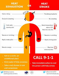 Heat Exhaustion Heat Stroke Chart Excessive Sweating