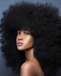 13 Foods To Eat For Longer Natural Hair A Drop Of Black Natural Hair Styles Black Natural Hairstyles Curly Hair Styles Naturally