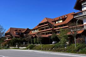 Haus kaufen in schluchsee leicht gemacht: 28 Jahriger Ubernimmt Das Hotel Auerhahn Am Schluchsee Schluchsee Badische Zeitung