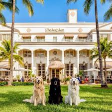 The Betsy Hotel | Miami Beach FL