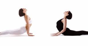 The Difference Between Upward Facing Dog Cobra Yeah Cobra Pose Upward Facing Dog Upward Facing Dog Pose