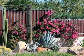 Our designs are backed by extensive study through the ucla landscape architect program, along with 40 years of drought tolerant and desert landscape experience. Desert Landscape Designs Lovetoknow