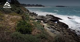 2023 Best 10 Trails in Gualala Point Regional Park | AllTrails