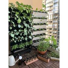 We did not find results for: All In One Bundle Vertical Self Watering Mobile Garden Planter Potting Soil Fertiliser Gardening Mat Seed Pack Pape Shopee Singapore