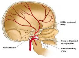 What is a ganglion cyst? Artery Of Trigeminal Nerve Ganglion Semantic Scholar