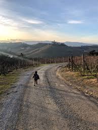 Suivez l'évolution de l'épidémie de coronavirus / covid19 dans le monde. Where To Stay In Barolo Wine Country Geography Practicalities Girl S Gotta Drink