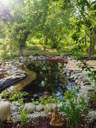 Image result for garden pond ideas