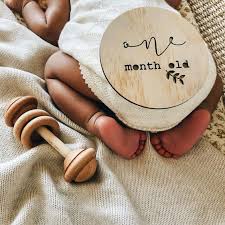 Baby Milestone Plaques Classic Baby Milestones Baby Milestone Photos Baby Milestone Stickers