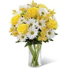 We did not find results for: Flower Delivery Pereira Online Florist Pereira