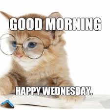 I choose a lazy person to do a hard job, because a lazy person will find an easy way to do it. 65 Craziest Funny Wednesday Memes To Make Brighten Your Day Daily Funny Quotes