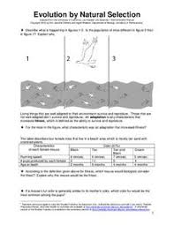 Worms that eat at night nocturnal and worms that eat during the day diurnal. Darwin Natural Selection Lesson Plans Worksheets