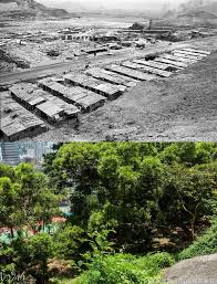 葵盛圍 南段1971年 railroad tracks sidewalk olds