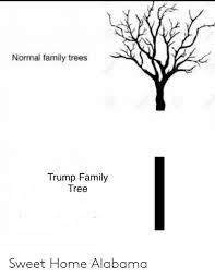 A janie riley mystery by lorine mcginnis schulze. Normal Family Trees Trump Family Tree Sweet Home Alabama Family Meme On Me Me