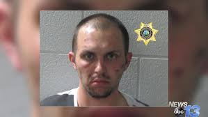 Suspect in multiple Henderson County vehicle break-ins arrested