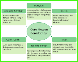 Check spelling or type a new query. Kunci Jawaban Buku Siswa Kelas 6 Tema 2 Halaman 66 67 68 70 71 72 73 Sanjayaops