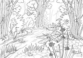 Wilde Dieren Gratis Kleurplaten Dieren Coloring And Drawing