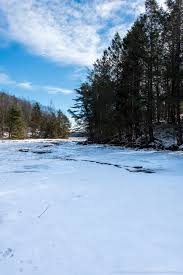 Maine Photographer — Thoughts on photography, art, nature, and books —  Douglas Park Media