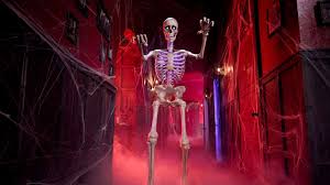 Explore the best Halloween ideas for 2025 with trending costumes, spooky decorations, and party tips. Get inspired for fun, creative celebrations.