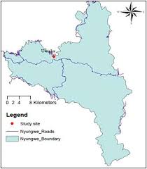 Image result for Pentadesma reyndersii