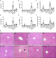 My / ministry of education virtual. Icariside I Specifically Facilitates Atp Or Nigericin Induced Nlrp3 Inflammasome Activation And Causes Idiosyncratic Hepatotoxicity Cell Communication And Signaling Full Text