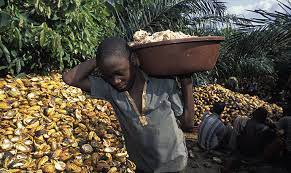 Western african countries, mostly ghana. West Africa Cocoa Pricing Model Should Inspire An End To Child Labour Fairplanet