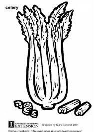 A celery coloring page 2020 hispanetwork publicidad y servicios s l. Coloring Page Celery Free Printable Coloring Pages Coloring Home