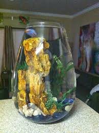Decorative Fish Bowls Rocks Decorations Betta Fish Bowl Glass Fish Bowl Betta Fish