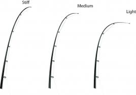 Fishing 101 How To Choose And Buy A Fishing Rod